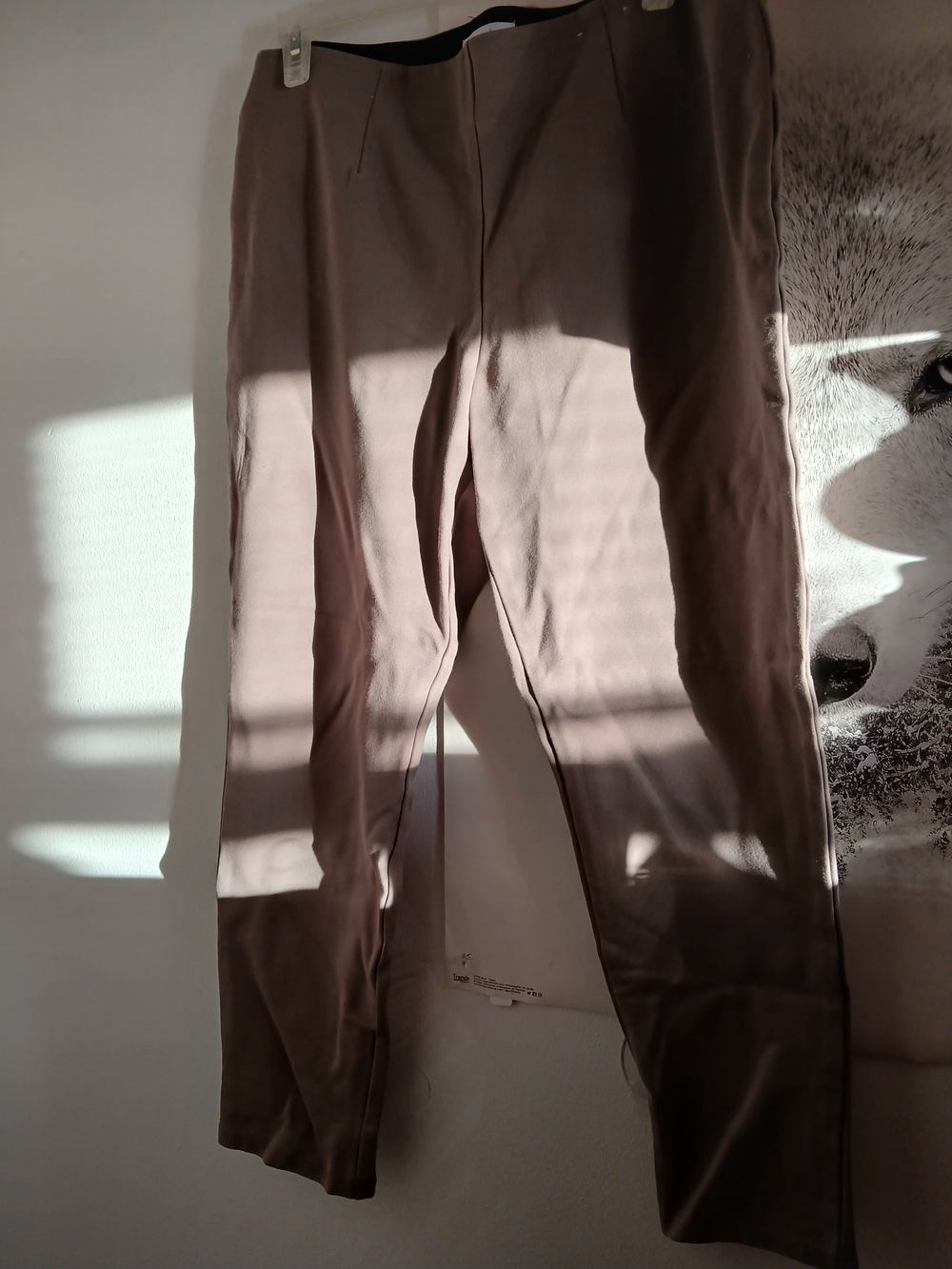 Calvin Klein Taupe Stretch Women's Pants